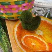 ヒメ日記 2025/07/04 07:23 投稿 くるみ 池袋マリン別館