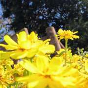 ヒメ日記 2024/12/19 08:10 投稿 しおり 完熟ばなな八王子