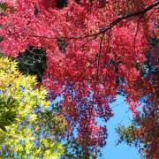 ヒメ日記 2025/01/05 08:09 投稿 しおり 完熟ばなな八王子