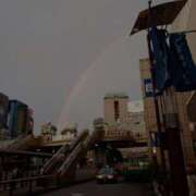 ヒメ日記 2025/06/26 22:09 投稿 しおり 完熟ばなな八王子