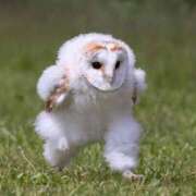 ヒメ日記 2025/03/25 14:34 投稿 れん 奥様特急　池袋・大塚店