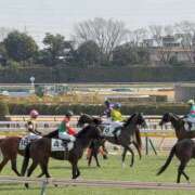 ヒメ日記 2026/02/11 17:10 投稿 れん 奥様特急　池袋・大塚店
