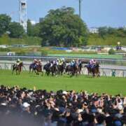 ヒメ日記 2026/05/11 18:50 投稿 れん 奥様特急　池袋・大塚店
