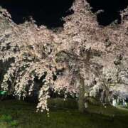 ヒメ日記 2025/04/03 14:36 投稿 あかね 京都の痴女鉄道