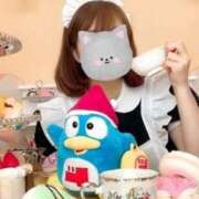 ヒメ日記 2025/10/31 17:39 投稿 京野　しずか イラマチーオ五反田店