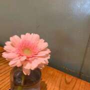 ヒメ日記 2025/02/05 12:16 投稿 アコ エピソード(品川)