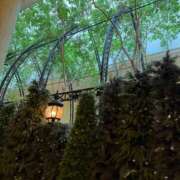 ヒメ日記 2025/11/17 22:31 投稿 アコ エピソード(品川)