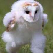 ヒメ日記 2025/04/30 23:21 投稿 あんな ポッキリ学園 ～モテモテハーレムごっこ～