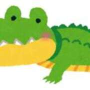 ヒメ日記 2025/12/02 22:28 投稿 あんな ポッキリ学園 ～モテモテハーレムごっこ～