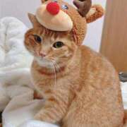 ヒメ日記 2024/12/19 17:48 投稿 綾波★ 伽羅（小名浜）