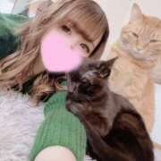 ヒメ日記 2024/12/29 11:38 投稿 綾波★ 伽羅（小名浜）