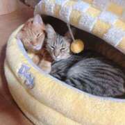 ヒメ日記 2025/04/01 20:30 投稿 綾波★ 伽羅（小名浜）