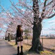 ヒメ日記 2025/04/13 11:38 投稿 綾波★ 伽羅（小名浜）