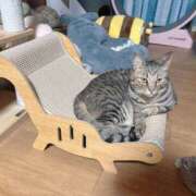 ヒメ日記 2025/06/08 16:58 投稿 綾波★ 伽羅（小名浜）