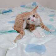 ヒメ日記 2025/07/06 23:08 投稿 綾波★ 伽羅（小名浜）