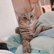 ヒメ日記 2025/07/11 09:48 投稿 綾波★ 伽羅（小名浜）