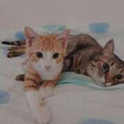 ヒメ日記 2025/07/30 10:46 投稿 綾波★ 伽羅（小名浜）