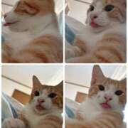 ヒメ日記 2025/08/15 11:18 投稿 綾波★ 伽羅（小名浜）