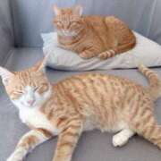 ヒメ日記 2025/09/27 20:08 投稿 綾波★ 伽羅（小名浜）