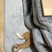 ヒメ日記 2025/11/18 23:08 投稿 綾波★ 伽羅（小名浜）