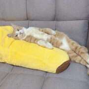 ヒメ日記 2026/01/18 11:28 投稿 綾波★ 伽羅（小名浜）