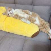 ヒメ日記 2026/01/25 09:48 投稿 綾波★ 伽羅（小名浜）