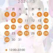 ヒメ日記 2026/02/26 16:38 投稿 綾波★ 伽羅（小名浜）