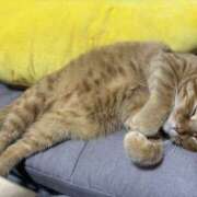 ヒメ日記 2026/03/01 01:38 投稿 綾波★ 伽羅（小名浜）