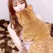 ヒメ日記 2026/03/09 11:48 投稿 綾波★ 伽羅（小名浜）