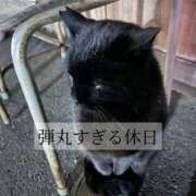 ヒメ日記 2025/03/24 18:48 投稿 美咲★ 伽羅（小名浜）