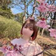 ヒメ日記 2026/04/25 22:28 投稿 るる★ 伽羅（小名浜）