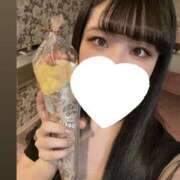 ヒメ日記 2025/02/19 11:18 投稿 なな★ 伽羅（小名浜）