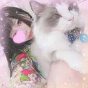 ヒメ日記 2025/05/13 18:48 投稿 ひなた★ 伽羅（小名浜）