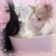 ヒメ日記 2025/05/19 13:08 投稿 ひなた★ 伽羅（小名浜）