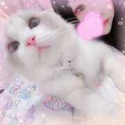 ヒメ日記 2025/05/22 09:58 投稿 ひなた★ 伽羅（小名浜）