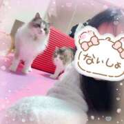 ヒメ日記 2025/05/26 09:28 投稿 ひなた★ 伽羅（小名浜）