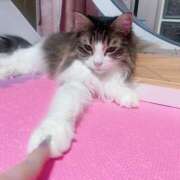 ヒメ日記 2026/03/11 13:08 投稿 ひなた★ 伽羅（小名浜）