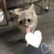 ヒメ日記 2025/01/24 10:38 投稿 みゆき★ 伽羅（小名浜）