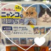 ヒメ日記 2025/03/21 19:18 投稿 みゆき★ 伽羅（小名浜）