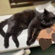 ヒメ日記 2025/03/24 09:08 投稿 みゆき★ 伽羅（小名浜）