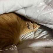 ヒメ日記 2025/04/21 22:28 投稿 みゆき★ 伽羅（小名浜）