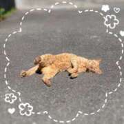 ヒメ日記 2025/07/20 08:58 投稿 みゆき★ 伽羅（小名浜）