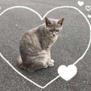 ヒメ日記 2025/07/24 23:58 投稿 みゆき★ 伽羅（小名浜）