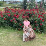 ヒメ日記 2025/07/27 08:59 投稿 みゆき★ 伽羅（小名浜）