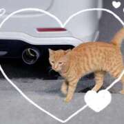 ヒメ日記 2025/08/18 09:08 投稿 みゆき★ 伽羅（小名浜）