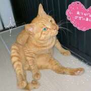 ヒメ日記 2025/08/25 19:18 投稿 みゆき★ 伽羅（小名浜）