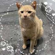 ヒメ日記 2025/09/30 09:28 投稿 みゆき★ 伽羅（小名浜）