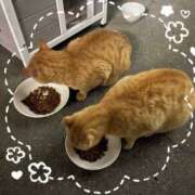 ヒメ日記 2026/03/21 09:28 投稿 みゆき★ 伽羅（小名浜）