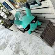 ヒメ日記 2025/11/22 18:48 投稿 みよ 伽羅（小名浜）