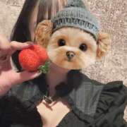 ヒメ日記 2025/11/29 12:18 投稿 みよ 伽羅（小名浜）